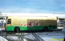Bus Lindt - Decorazione automezzi - Car wrapping